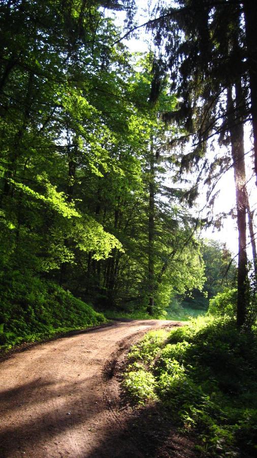 Gaestezimmer Waldblick Wimbach Bagian luar foto