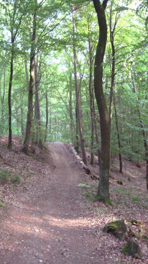 Gaestezimmer Waldblick Wimbach Bagian luar foto